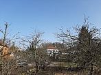 Olešná