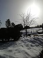 Skalité
