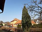 Olešná