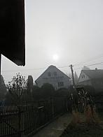 Třibřichy