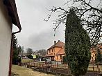 Olešná