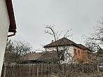 Olešná