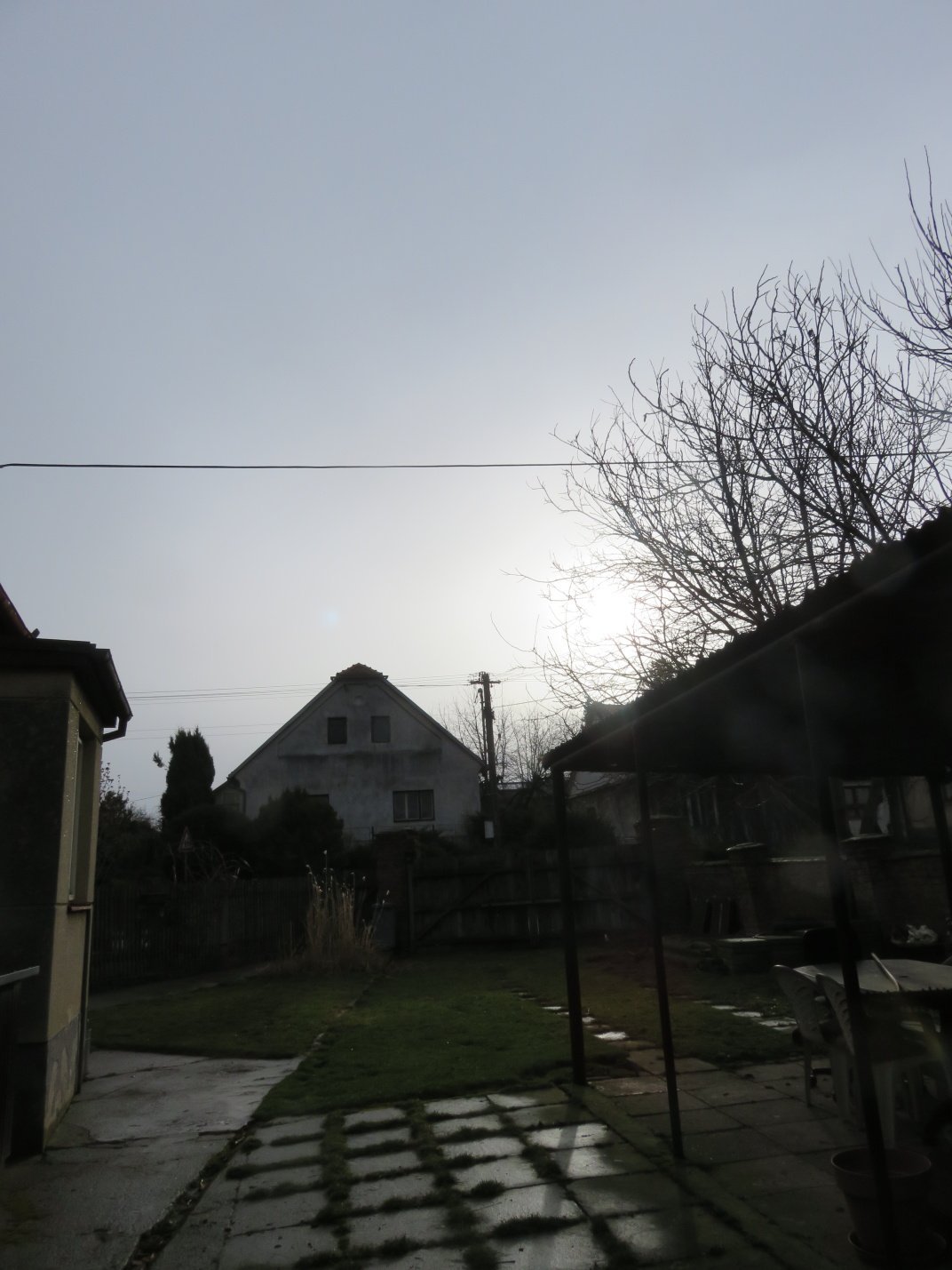 Třibřichy