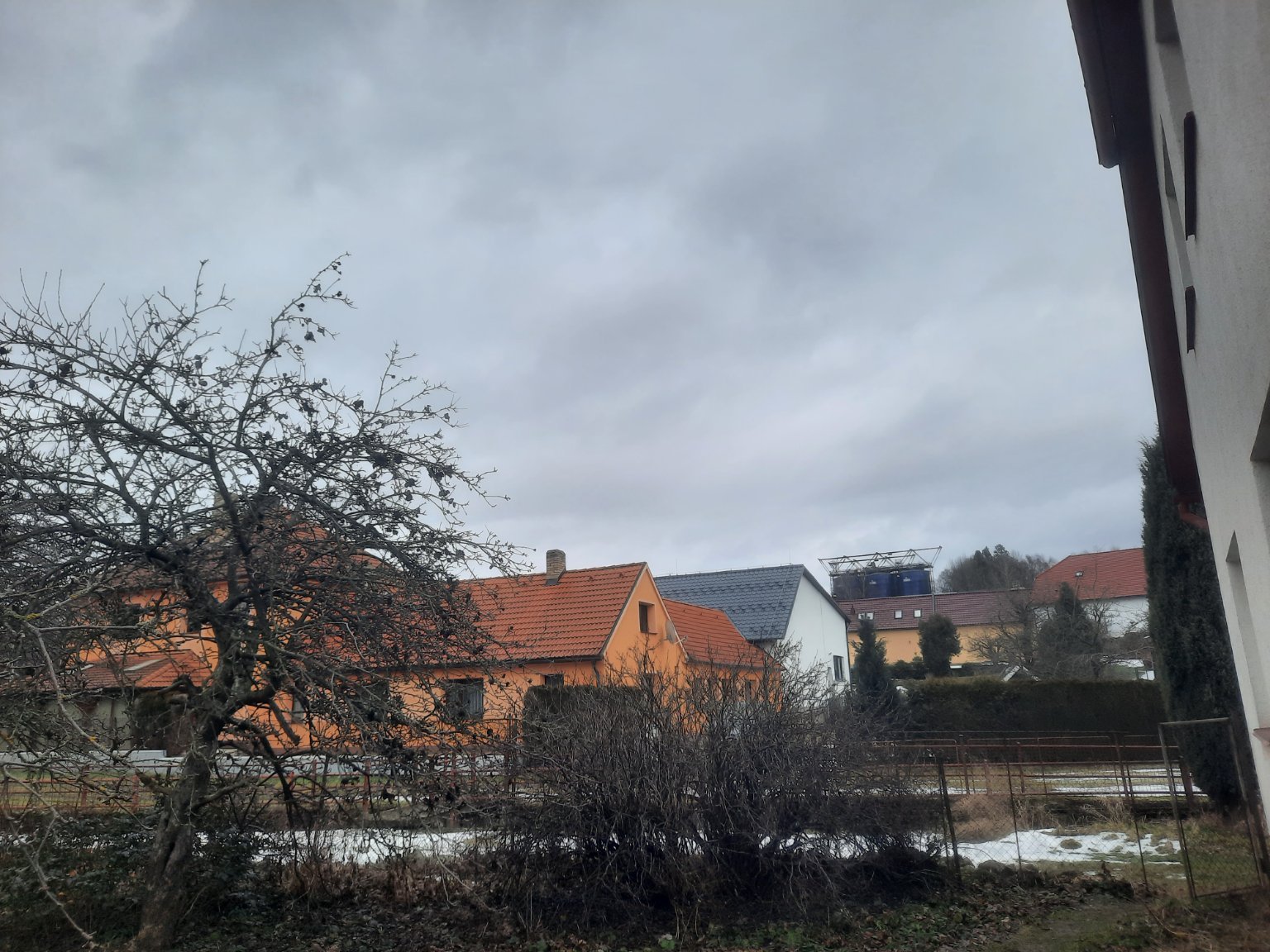 Olešná
