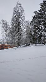 Nové Město na Moravě