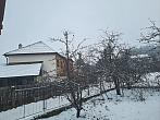 Olešná