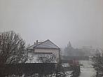 Olešná