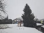 Olešná