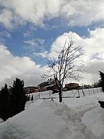 Skalité