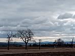 Lukovany