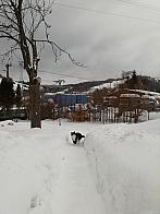 Skalité