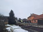 Olešná