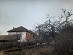 Olešná