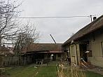 Třibřichy