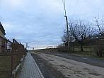 Třibřichy
