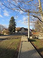 Třibřichy