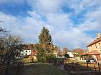 Olešná