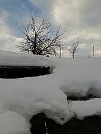 Skalité