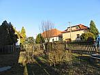 Třibřichy