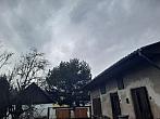 Olešná