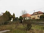 Třibřichy