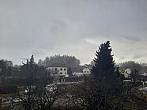 Olešná