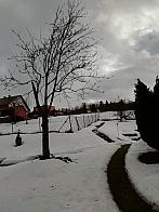 Skalité