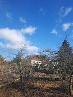 Olešná