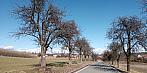 Lukovany