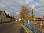 Třibřichy