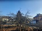 Olešná