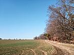 Lukovany