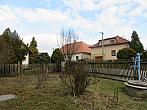 Třibřichy