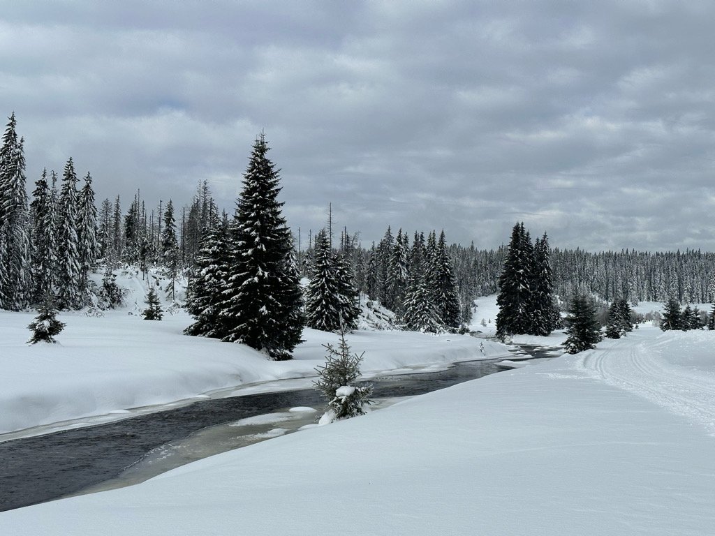 Modrava