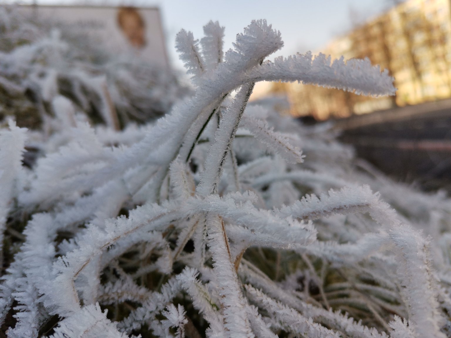 Most