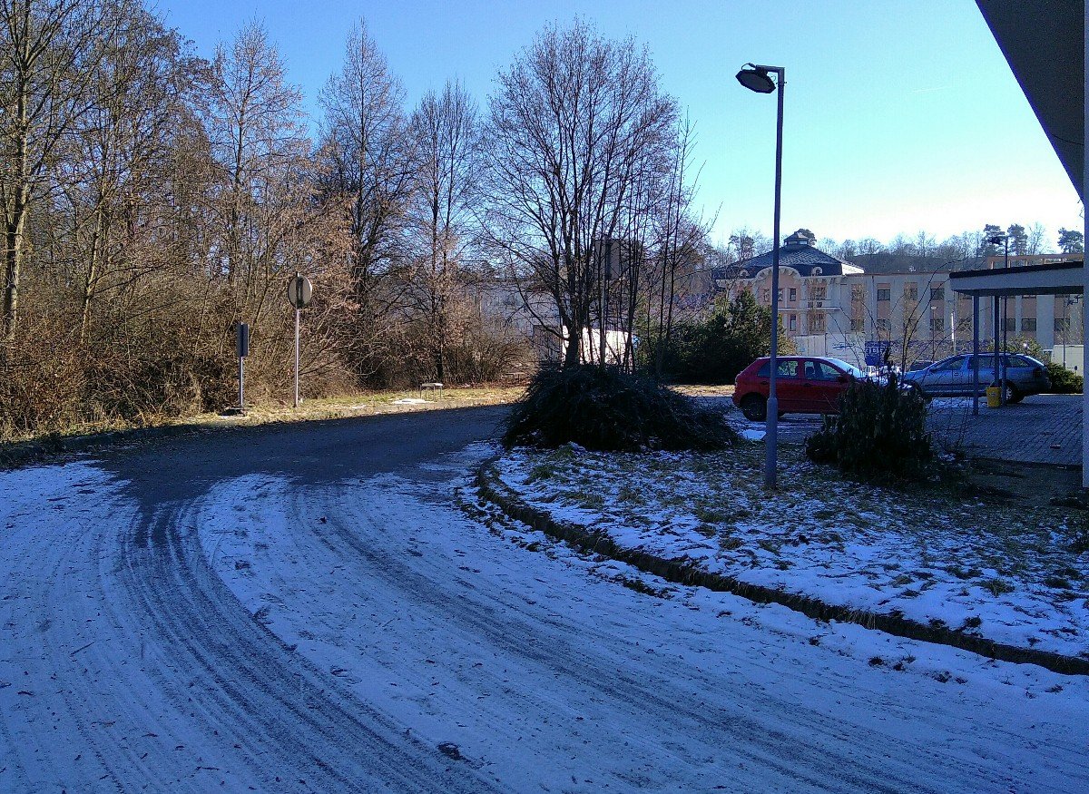 Borovina