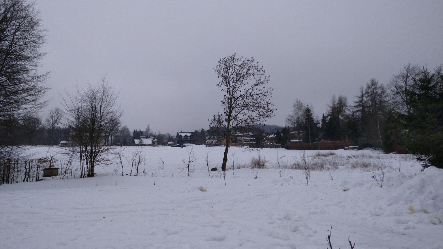 Polevsko