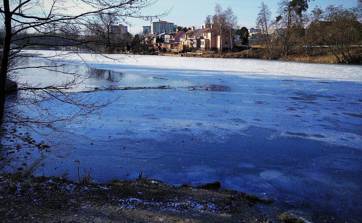 Borovina