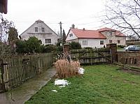 Třibřichy