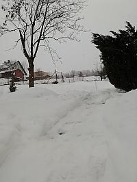 Skalité