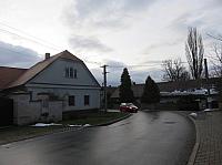 Třibřichy