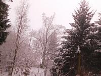Němčice Zhoř