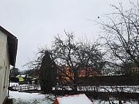 Olešná