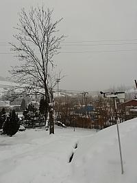 Skalité