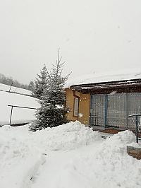 Skalité