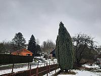 Olešná