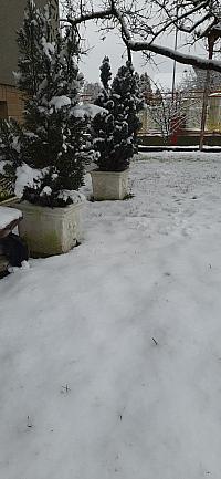 Mohelnice