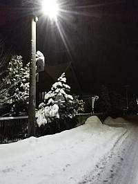 Skalité