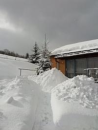 Skalité