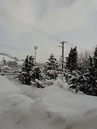 Skalité